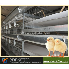 Birdsitter caja de pollo de capa automática para la venta en Filipinas